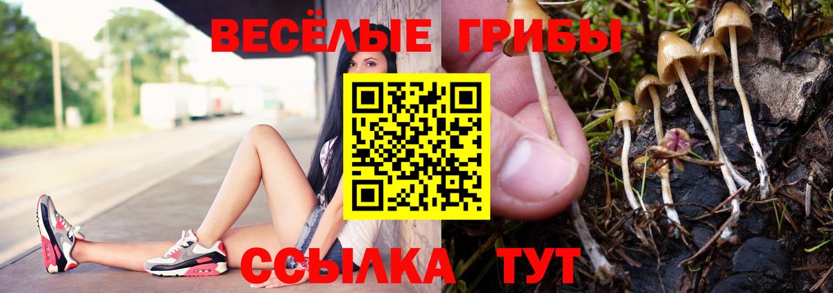 Озёрск  купить закладку  Вход с VPN  Галлюциногенные грибы прущие грибы 